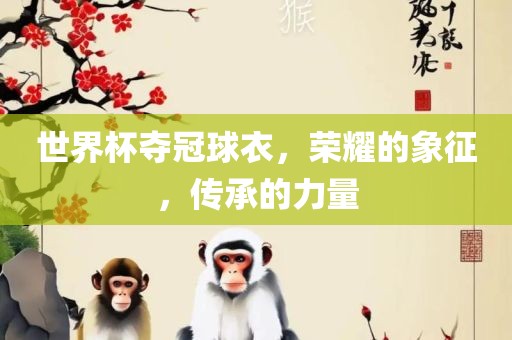 世界杯夺冠球衣，荣耀的象征，传承的力量