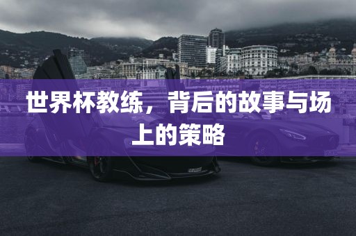 世界杯教练，背后的故事与场上的策略