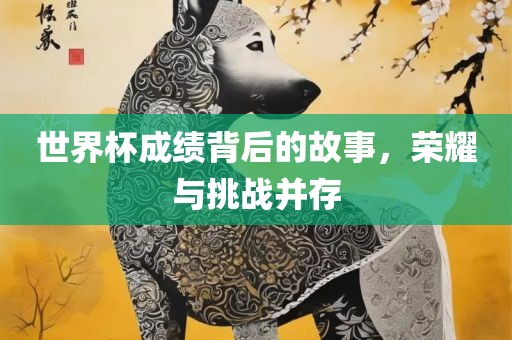 世界杯成绩背后的故事，荣耀与挑战并存