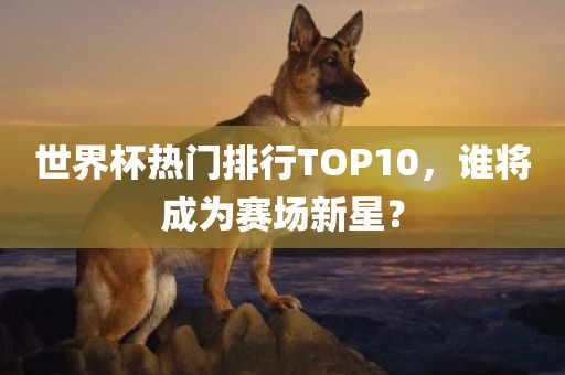 世界杯热门排行TOP10，谁将成为赛场新星？