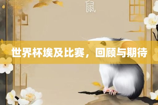 世界杯埃及比赛，回顾与期待