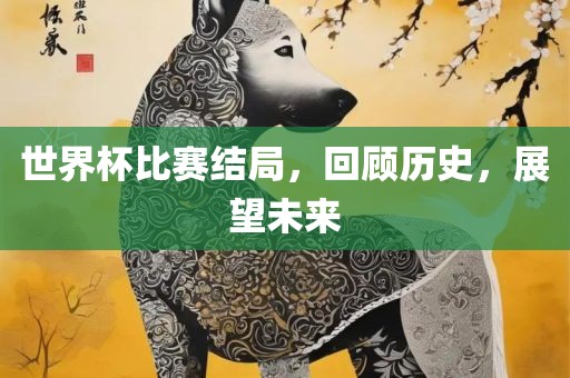 世界杯比赛结局，回顾历史，展望未来