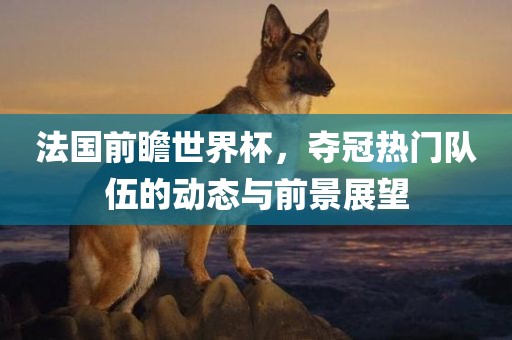 法国前瞻世界杯，夺冠热门队伍的动态与前景展望