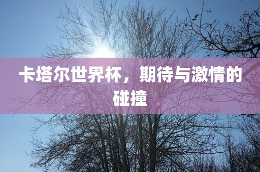 卡塔尔世界杯，期待与激情的碰撞