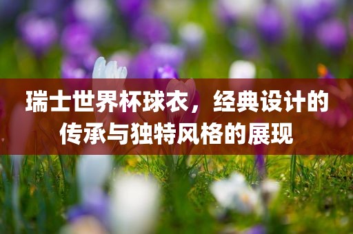 瑞士世界杯球衣，经典设计的传承与独特风格的展现眉山市正发家政服务有限公司