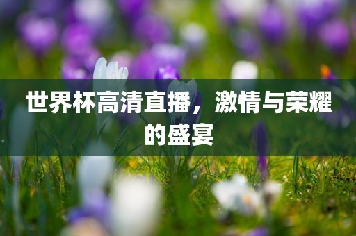 世界杯高清直播，激情与荣耀的盛宴