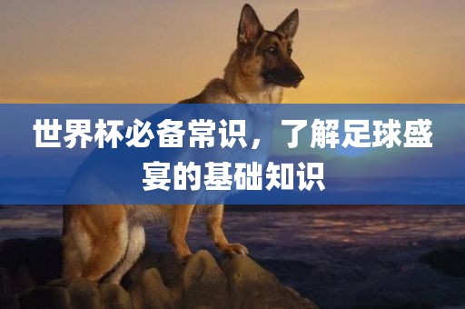 世界杯必备常识，了眉山市正发家政服务有限公司解足球盛宴的基础知识