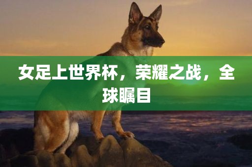 女足上世界杯，荣耀之战，全球瞩目