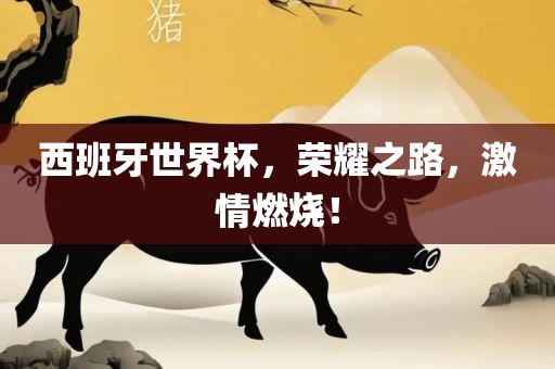 西班牙世界杯，荣耀之路，激情燃烧！