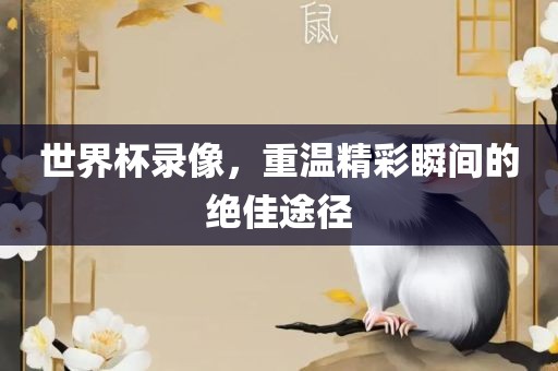 世界杯录像，重温精彩瞬间的绝佳途径