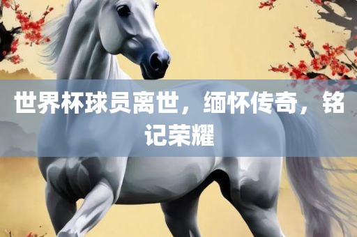 世界杯球员离世，缅怀传奇，铭记荣耀眉山市正发家政服务有限公司