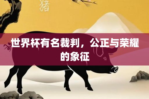 世界杯有名裁判，公正与荣耀的象征