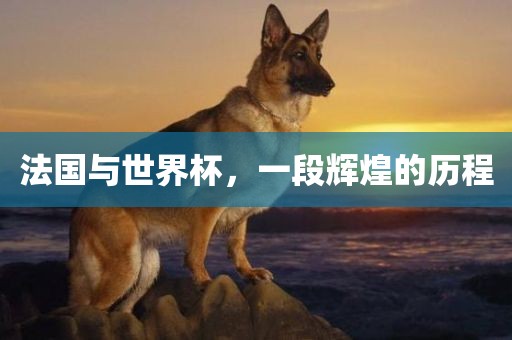 法国与世界杯，一段辉煌的历程