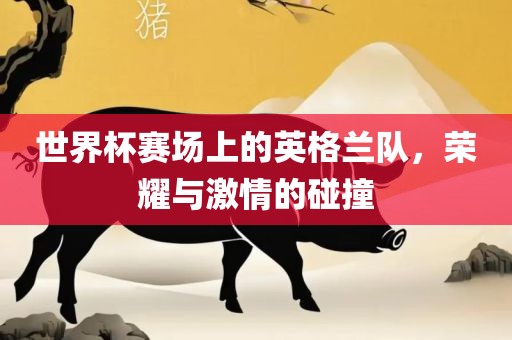 世界杯赛场上的英格兰队，荣耀与激情的碰撞