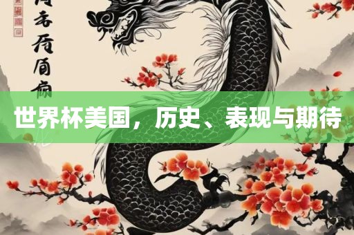 世界杯美国，历史、表现与期待