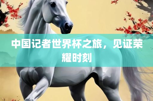 中国记者世界杯之旅，见证荣耀时刻