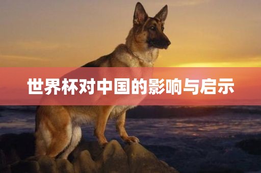 世界杯对眉山市正发家政服务有限公司中国的影响与启示