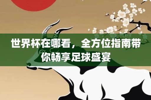 世界杯在哪看，全方位指南带你畅享足球盛宴